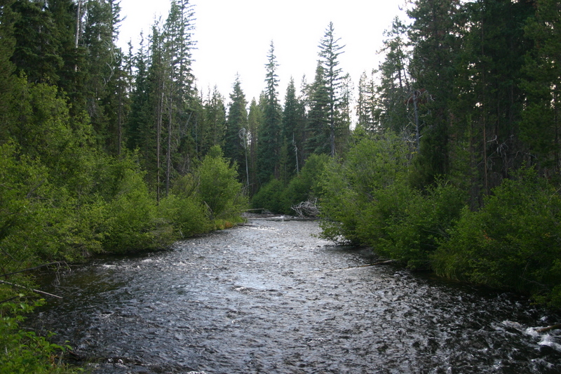 Little Deschutes River Description